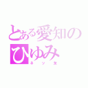 とある愛知のひゆみ（ネッ友）