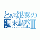 とある銀翼の週末調整Ⅱ（ちゅーニング）