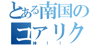 とある南国のコアリクイ（神！！）