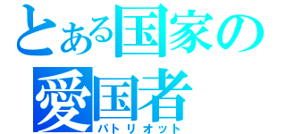 とある国家の愛国者（パトリオット）