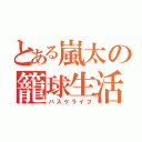 とある嵐太の籠球生活（バスケライフ）