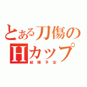 とある刀傷のＨカップ（結婚予定）