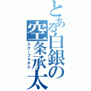 とある白銀の空条承太郎（スタープラチナ）