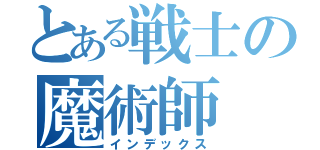 とある戦士の魔術師（インデックス）