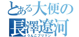 とある大便の長澤遼河（うんこブリマン）