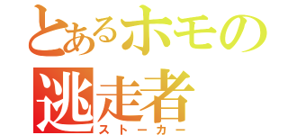 とあるホモの逃走者（ストーカー）