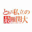 とある私立の最難関大（エリートスクール）