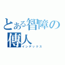 とある智障の傳人（インデックス）