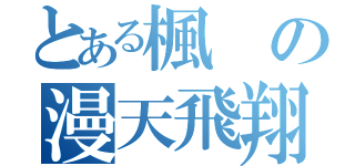 とある楓の漫天飛翔（）