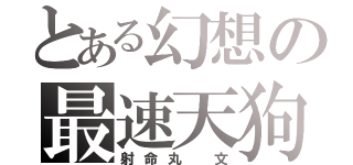 とある幻想の最速天狗（射命丸　文）