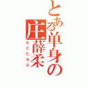 とある单身の庄薛柔（我还在单身）