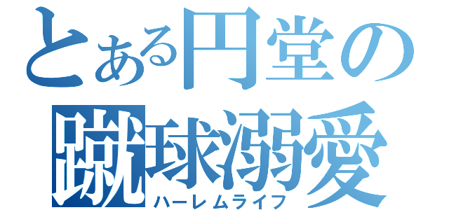 とある円堂の蹴球溺愛（ハーレムライフ）