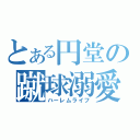 とある円堂の蹴球溺愛（ハーレムライフ）