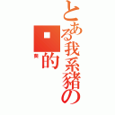 とある我系豬の傻的（葵）