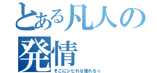 とある凡人の発情（そこにシビれる憧れるゥ）