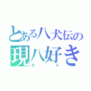 とある八犬伝の現八好き（カメ）