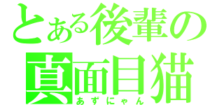 とある後輩の真面目猫（あずにゃん）