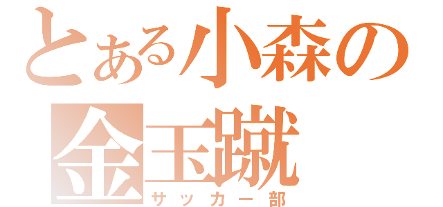 とある小森の金玉蹴（サッカー部）