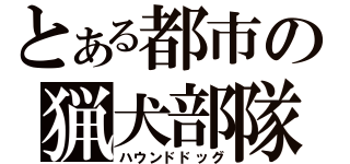 とある都市の猟犬部隊（ハウンドドッグ）