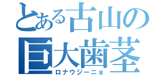 とある古山の巨大歯茎（ロナウジーニョ）