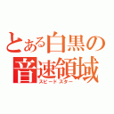 とある白黒の音速領域（スピードスター）