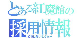 とある紅魔館の採用情報（給与は無いむきゅー）