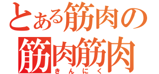 とある筋肉の筋肉筋肉（きんにく）