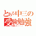 とある中三の受験勉強（勉強しろ（－－；））