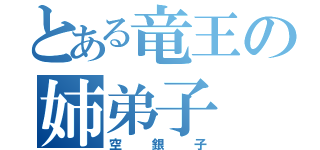 とある竜王の姉弟子（空銀子）