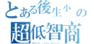 とある後生小輩の超低智商（Ｍｅｎｔａｌ ｒｅｔａｒｄａｔｉｏｎ）