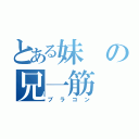 とある妹の兄一筋（ブラコン）