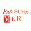 とあるＳＵＭのＭＥＲ（）