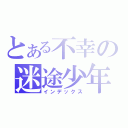 とある不幸の迷途少年（インデックス）