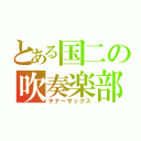 とある国二の吹奏楽部（テナーサックス）