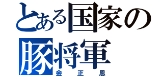 とある国家の豚将軍（金正恩）