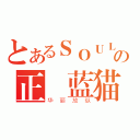 とあるＳＯＵＬの正義蓝猫（华丽放纵）