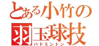 とある小竹の羽玉球技（バドミントン）