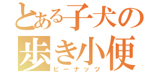 とある子犬の歩き小便（ピーナッツ）