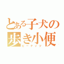 とある子犬の歩き小便（ピーナッツ）