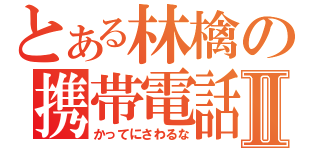 とある林檎の携帯電話Ⅱ（かってにさわるな）