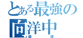 とある最強の向洋中（籠球）