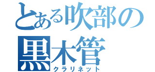 とある吹部の黒木管（クラリネット）