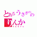 とあるうさぎののりんか（りんちゃん）