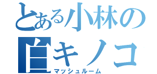 とある小林の白キノコ（マッシュルーム）