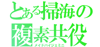 とある掃海の複素共役（メイドバイジェミニ）