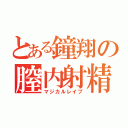 とある鐘翔の膣内射精（マジカルレイプ）