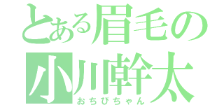 とある眉毛の小川幹太（おちびちゃん）