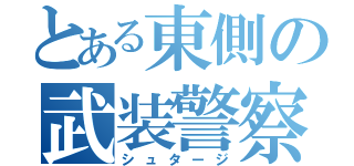 とある東側の武装警察軍（シュタージ）