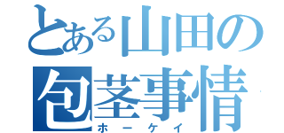 とある山田の包茎事情（ホーケイ）