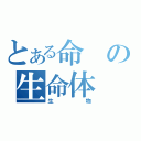 とある命の生命体（生物）